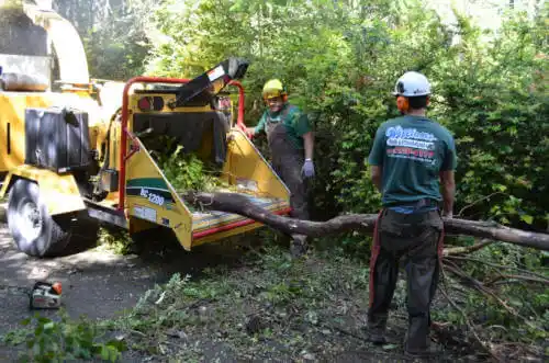 tree services Eldorado